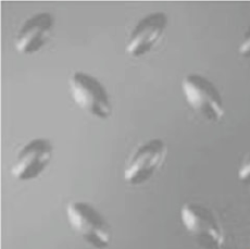 Chapa recalcada oblongo 6,35x16mm