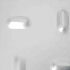 Chapa recalcada oblongo 8x21mm