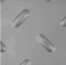 Chapa recalcada oblongo 9x28mm