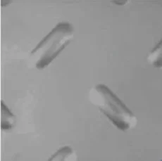 Chapa recalcada oblongo 10x30mm